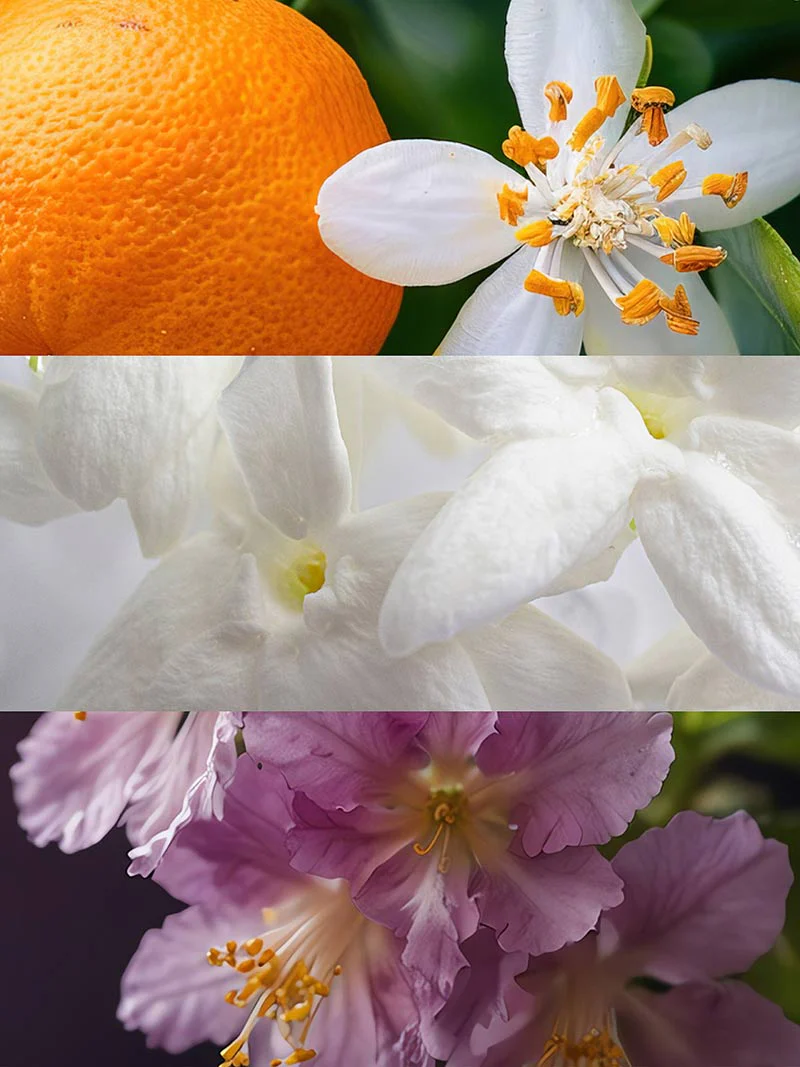 Tendenze - Image 3